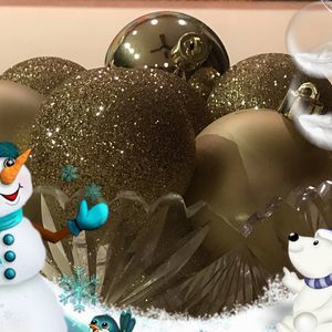 Meet your Posher, Frank